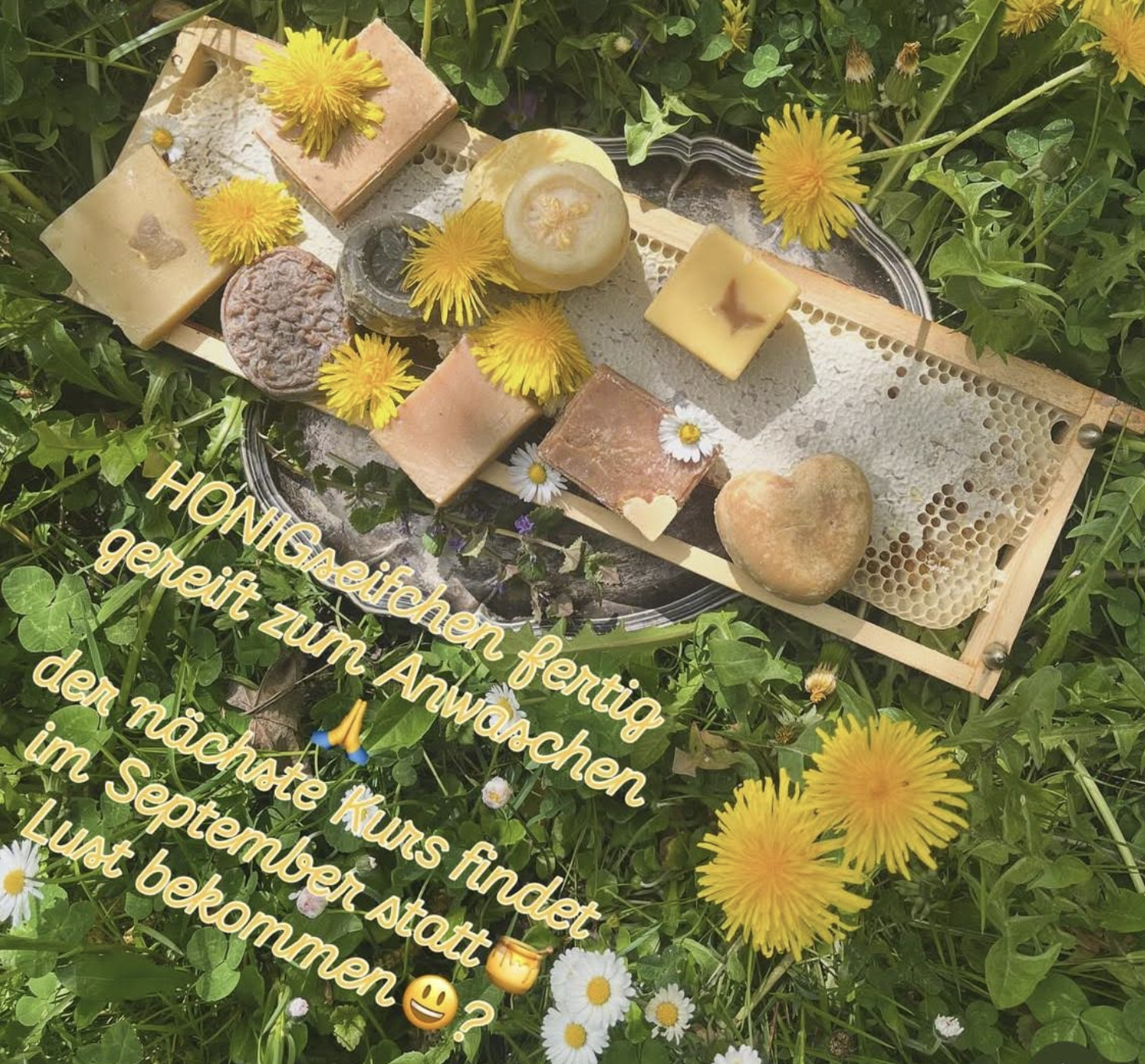 Seifen auf Honigwabe