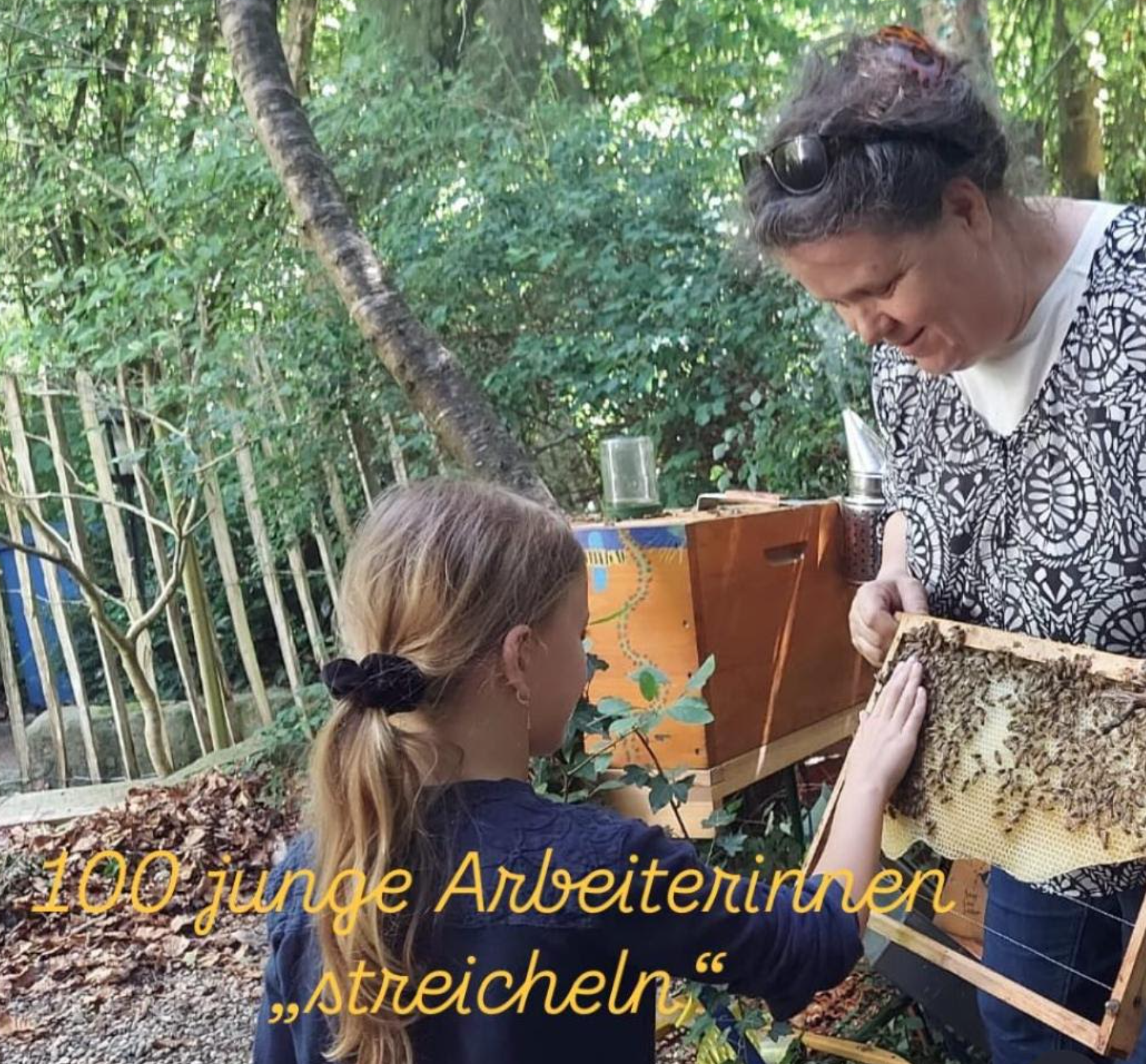 100 junge Arbeiterbienen streicheln